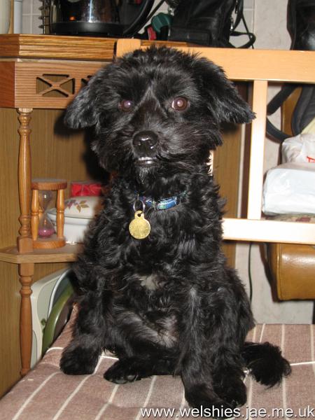 2009-12-25 18.JPG